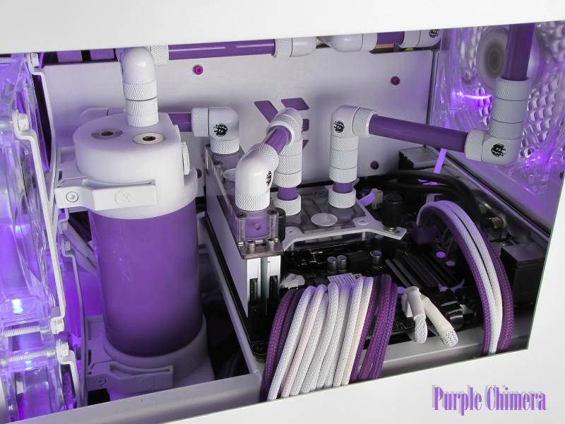 [WIP] Snef's Purple Chimera - Page 2 Purplechimera-33_zpsdfbeb694