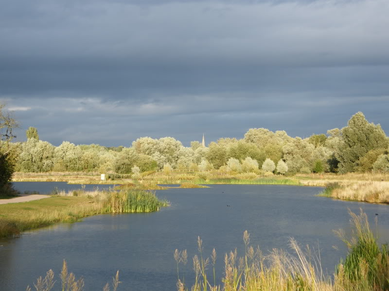 Swan watch - From Stanwick Lakes - Page 6 Septemberphotos177