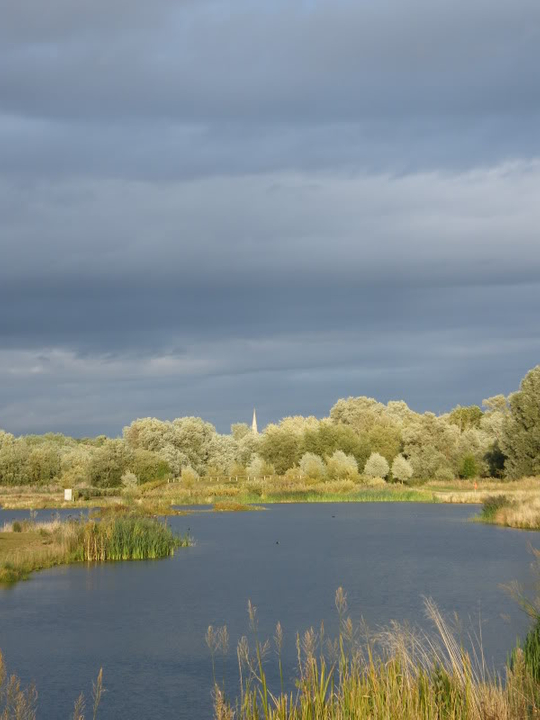 Swan watch - From Stanwick Lakes - Page 6 Septemberphotos178