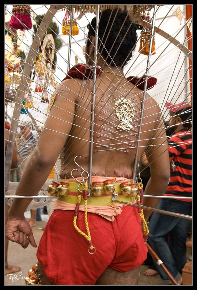 Thaipusam SG '09 _DSC6465