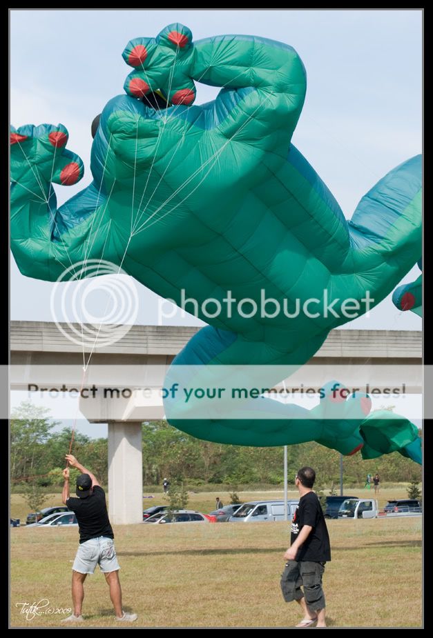 The Joys of Flying A Kite Frogger