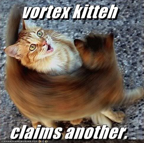 le topic des images droles - Page 10 Funny-pictures-vortex-cat-claims-an