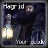 Sindra's Kippenhok Hagrid