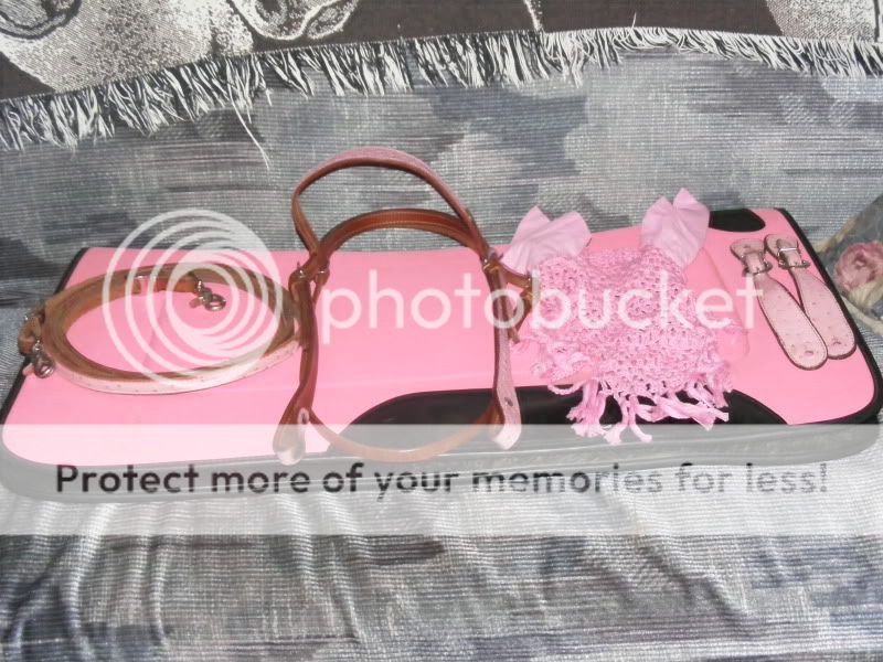 Pink Tack pkg for sale SOLD 2009_0908pinkpkg0004
