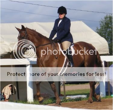 A nice day for a show... MSThorseshowaug2011017-1