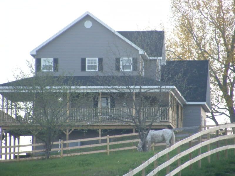 Horses out to pasture finally... Horsesandaptpic021