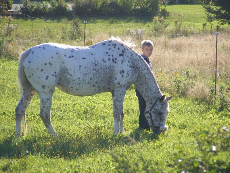 Christian and Skippy - Page 3 Peisept2011004