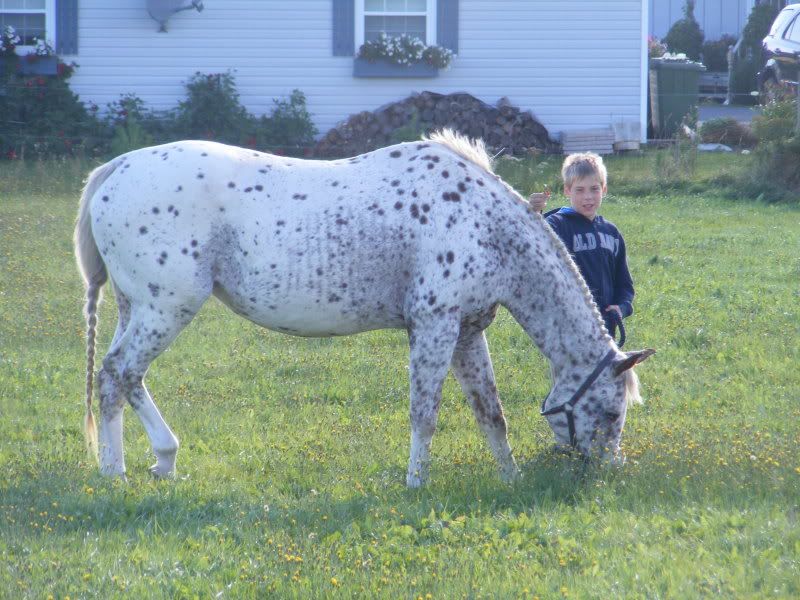 Christian and Skippy - Page 3 Peisept2011007