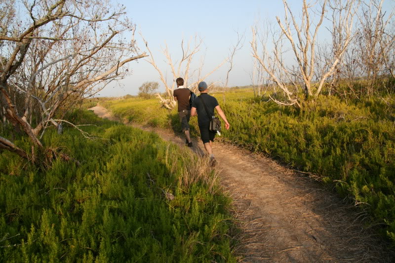 Coastal Prairie Trail (Everglades 2011) IMG_1815