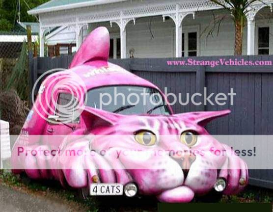 سيارات غريبة Funny-cat-car-mobile