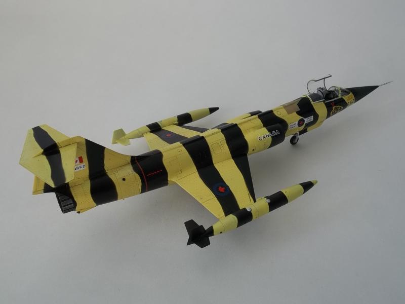 Hasegawa CF-104 "Tiger" Starfighter  100_2079