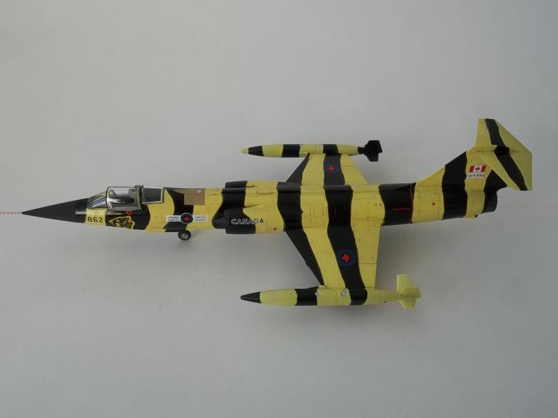 Hasegawa CF-104 "Tiger" Starfighter  100_2082