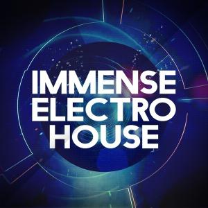 Immense Sounds Immense Electro House (WAV MiDi) 525ab58a39810dfb4debce4b5fb38942