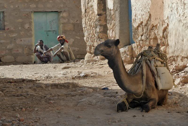 Eritrea - Pagina 2 006Eritrea089Adikeih