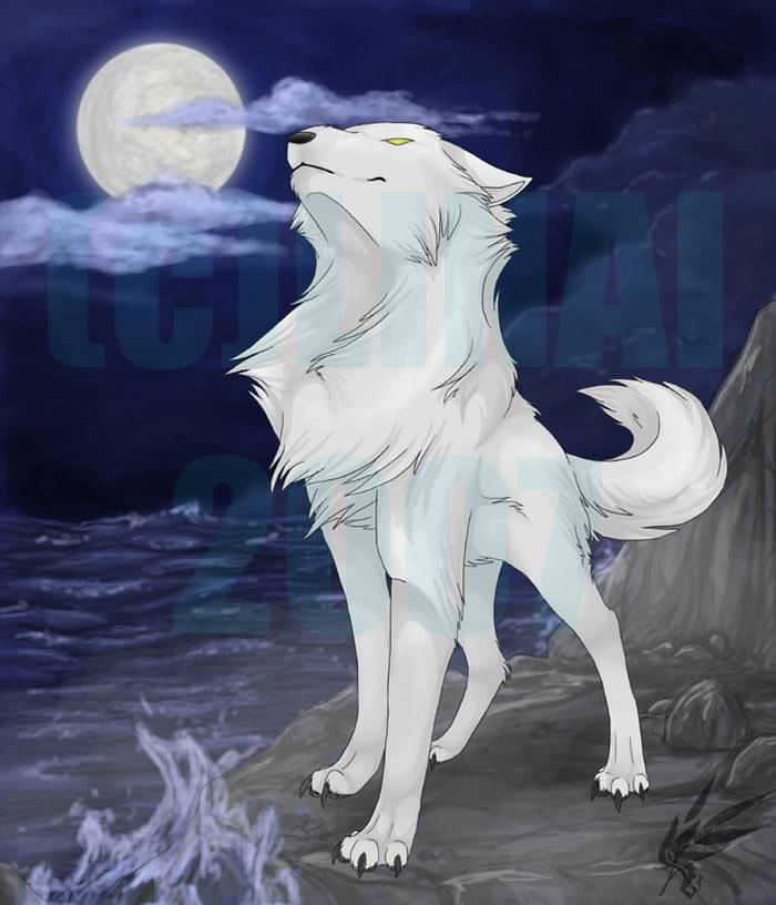 Bienvenidos a WoW White_Wolf___Take_4_by_linai