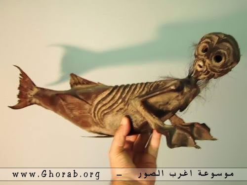 وحوش البحار - Sea Monsters Sea06Monsters