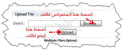 هارد ديسك على الانترنت مجانا Ziddu_04