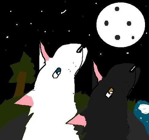 Night's Art WOLFSS