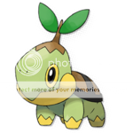 suigin tou pokemonai Turtwig