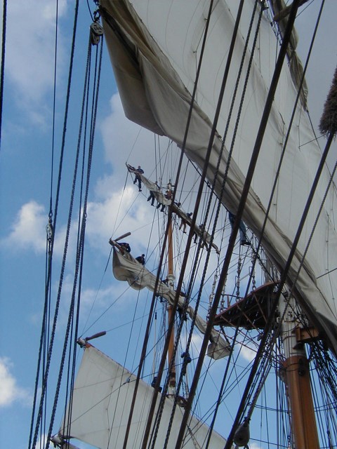 Dar Mlodziezy: das polnische Segelschulschiff in Antwerpen  P1010045Andere_zps30d7c722