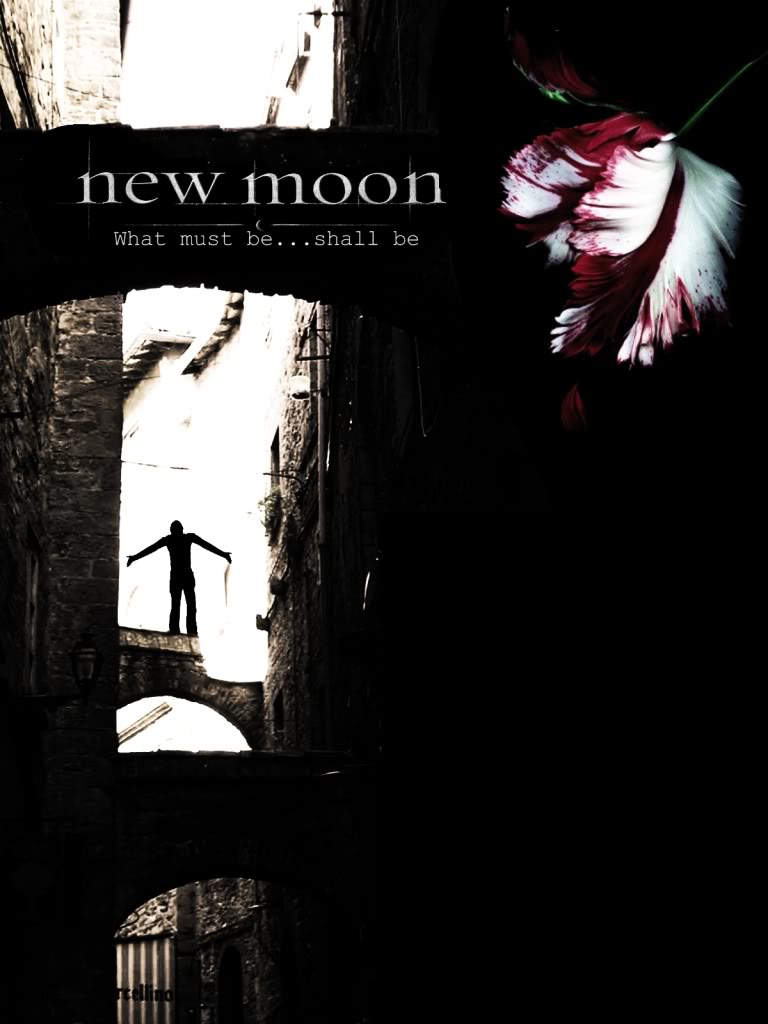 New moon sap chieu roi do xem thu poster di dep lem( ko xem hoi phi do) Htsrhsrztj