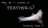 Copy & Paste - Page 2 Feathers