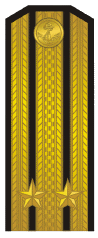 Russian NAVY ranks are different Russia-navy-shoulder-1994_14