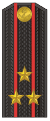 Russian NAVY ranks are different Russia-navy-shoulder-1994_15