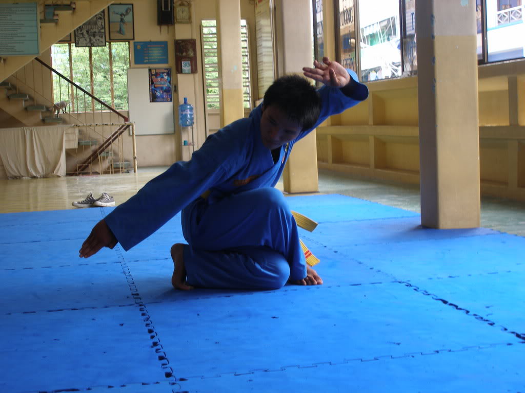 Tấn Pháp Vovinam – Việt Võ Đạo P7294083