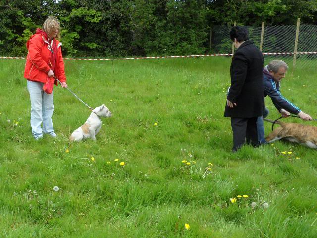 IKC in Ireland 12th May pt 1 Ikcshowireland002