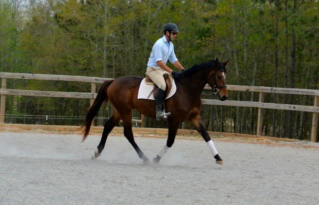 First Tater Tot is under saddle!!! :) DSC_1635_zpsf39dc84a