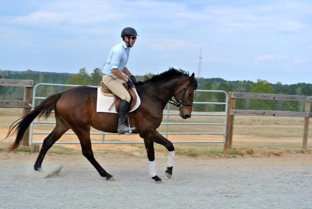 First Tater Tot is under saddle!!! :) DSC_1693_zps0dc0ef16