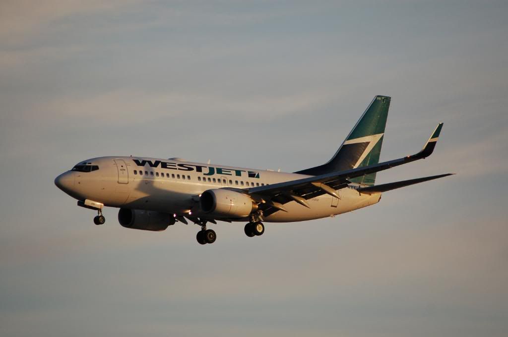 WestJet Airlines (WS / WJA) DSC_0191