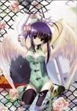 GAleria anime Angel35