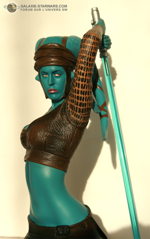 Aayla Secura and Shaak Ti mini-bust - Page 8 12-16