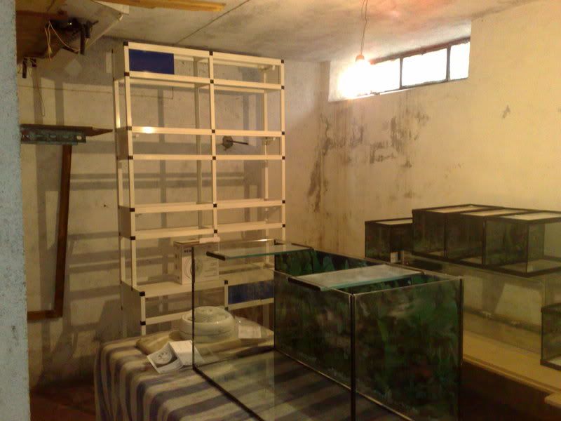 Fishroom 04032009428