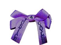 Justice4Caylee Signature Ribbons Cr07