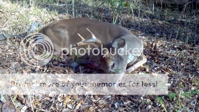 Fun hunt that ended in success 2012-12-13_10-38-29_820