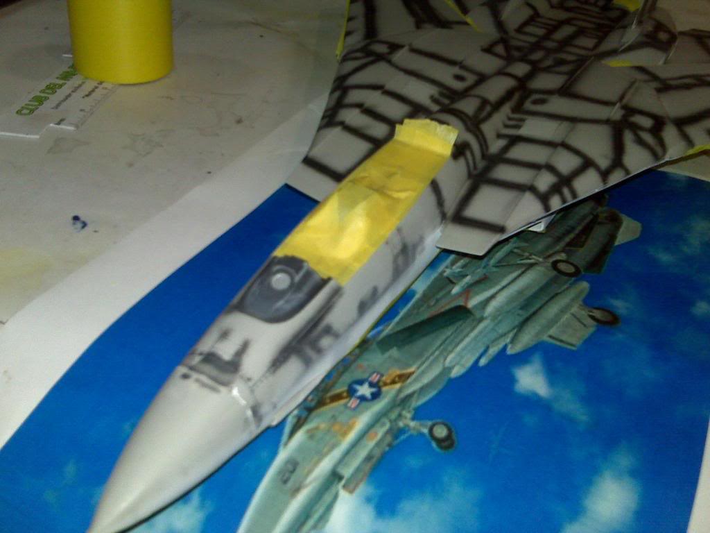 F-14 WolfPack IMG00215