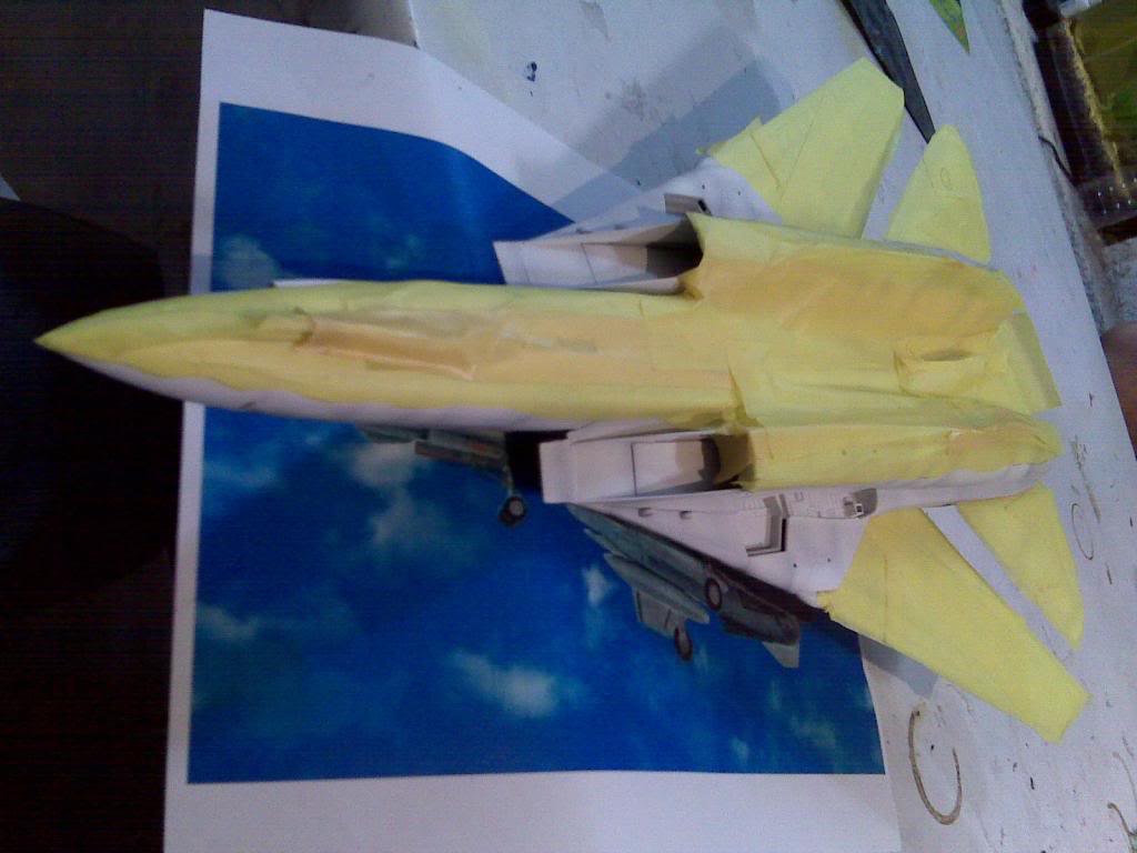 F-14 WolfPack IMG00217