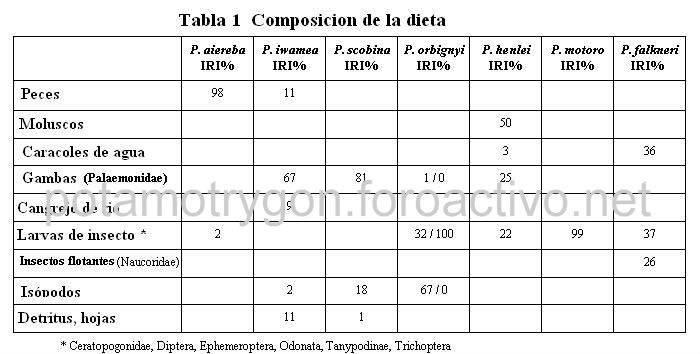 La alimentación de las rayas de agua dulce en su habitad natural 395996_10150452058826902_700846901_