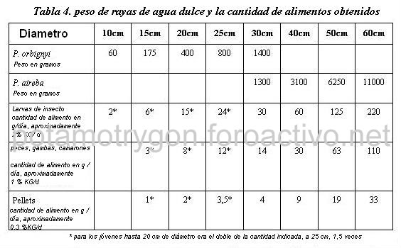 La alimentación de las rayas de agua dulce en su habitad natural Dibujo4-1