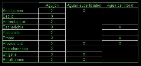 Las bacterias en el aguijón de las rayas de agua dulce Tabla3