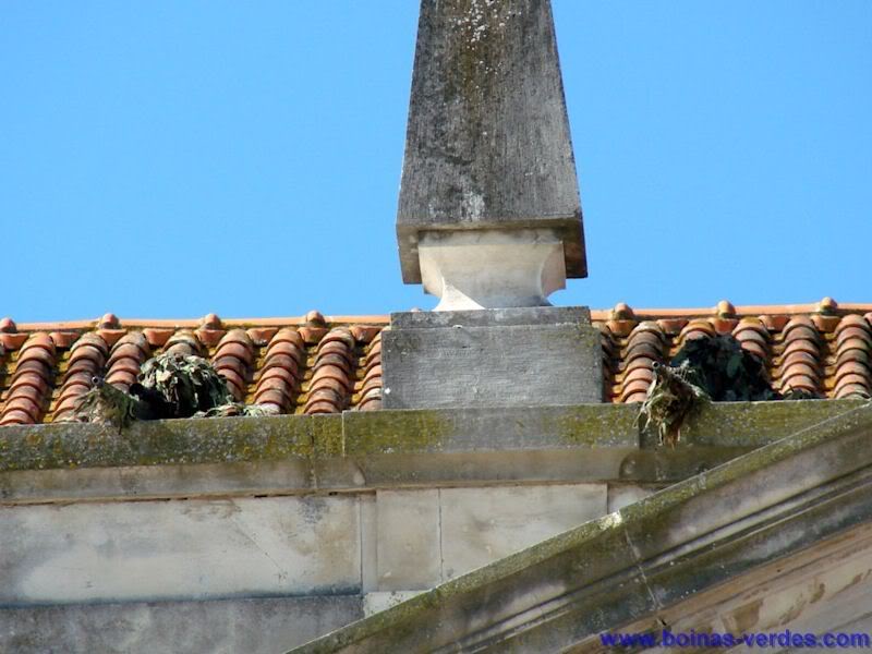 Fuerzas Especiales del Mundo(Imágenes y Vídeos) Dia20da20BRR202008-0341