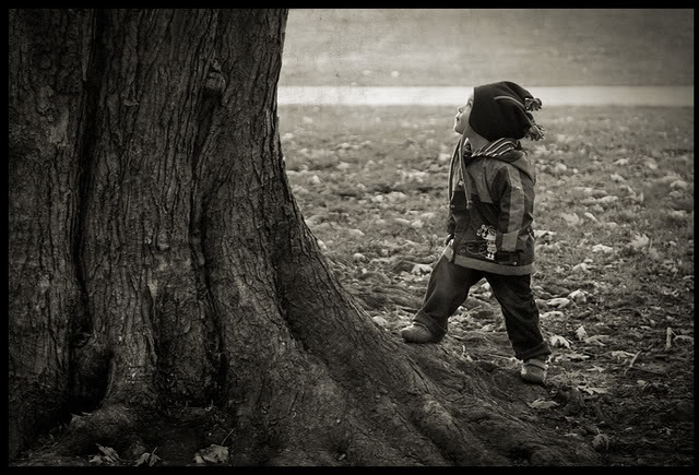 Les images qui parlent à notre coeur - Page 5 Photojroumagnacthomasarbre