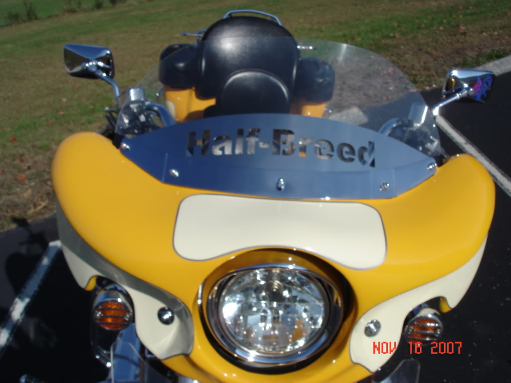 Pet names for your Bike or bikes. Half-Breed006