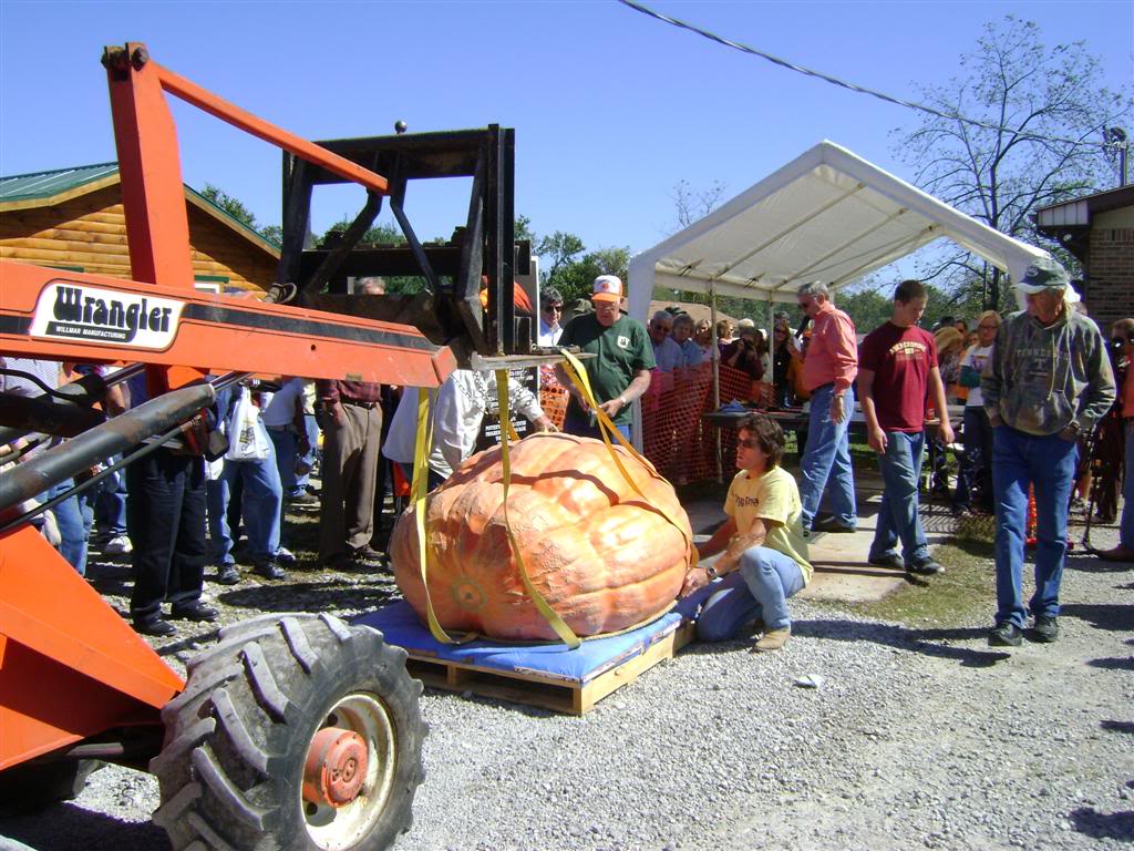 Big South Fork / 18th Annual Great Pumpkin Festival.... PumpkinFestival016Large