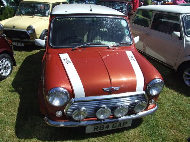 MINI IN THE GARDEN 2008 BallymenaShow08025