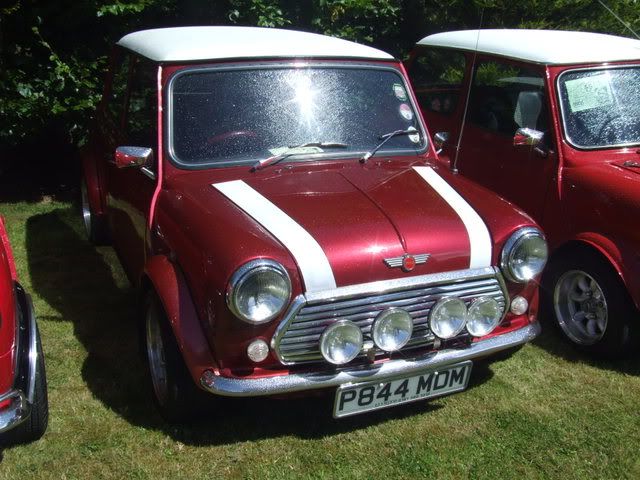 MINI IN THE GARDEN 2008 BallymenaShow08037