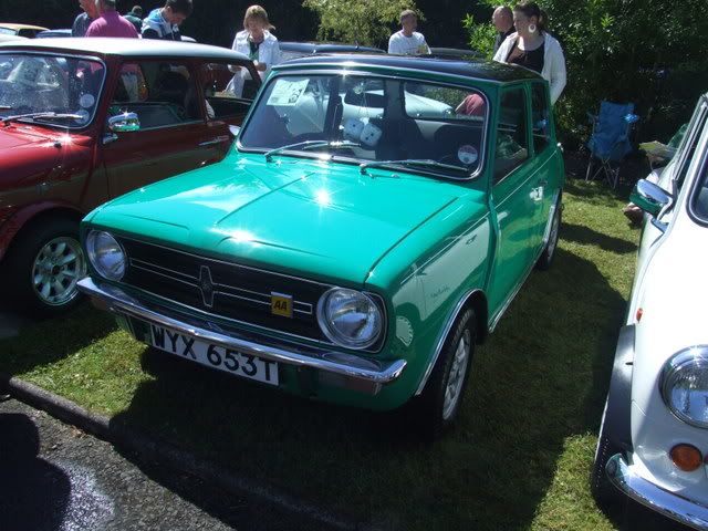 MINI IN THE GARDEN 2008 BallymenaShow08054